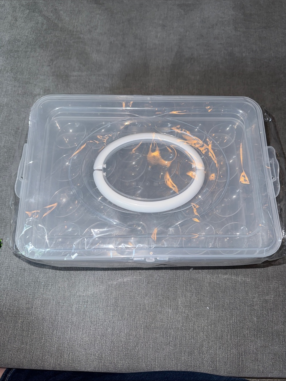 Clear Plastic Egg Storage Container with White Handle